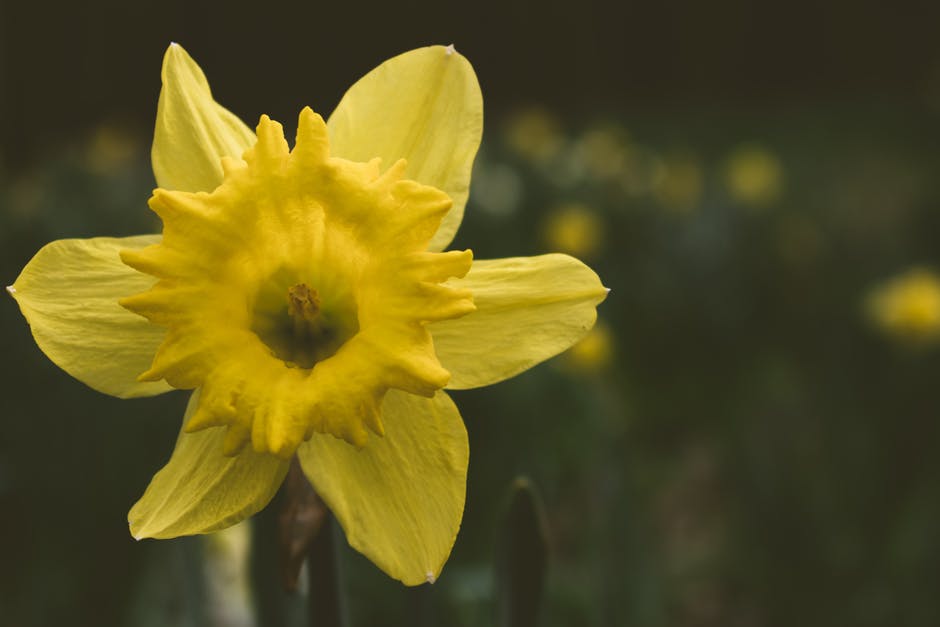 Top 3 Offers For Spring At Grafton Spa &amp; Wellness